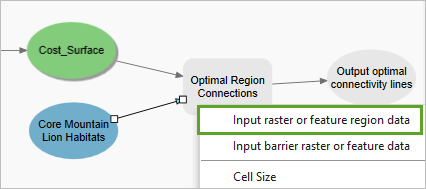 Input raster or feature region data option