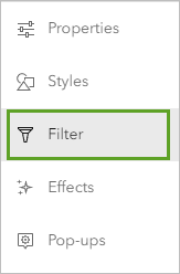 Filter option