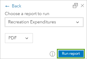 Run report button in the pop-up