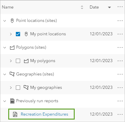 Recreation Expenditures under the Previously run reports section in the project pane
