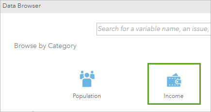 Income category in the Data browser window