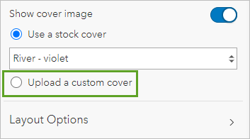 Upload a custom cover option