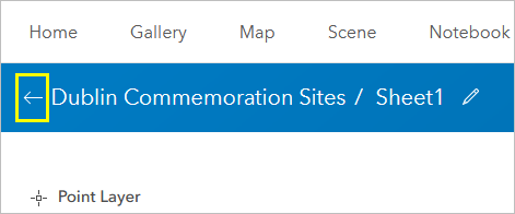 Return to the hosted feature layer item details pane.