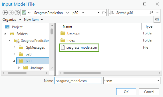 seagrass_model.ssm ファイルを参照して開きます。