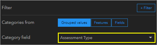 Поле категории Assessment Type