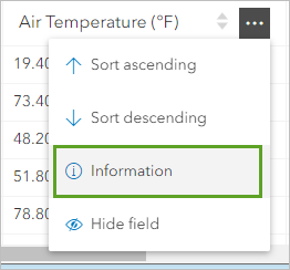 Опция Информация для поля Air Temperature