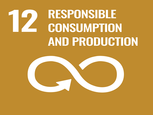 SDG #12 - Responsible Consumption & Production