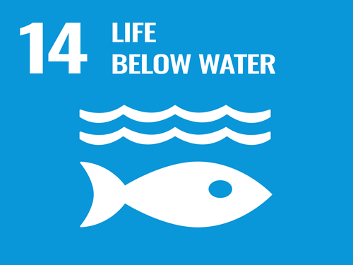 SDG #14 - Life Below Water