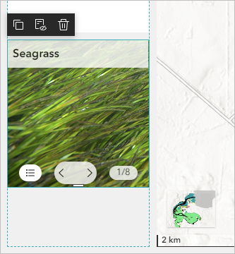 Lesezeichen "Seagrass"