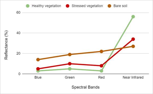 Reflexionsdiagramm für gesunde Vegetation, belastete Vegetation und vegetationslosen Boden