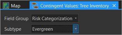 "Feldgruppe" festgelegt auf "Risk Categorization" und "Subtype" festgelegt auf "Evergreen" in der Ansicht "Gruppenwerte"