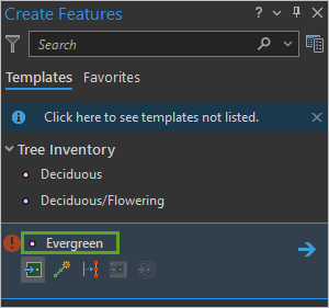 Feature-Vorlage "Evergreen" auswählen