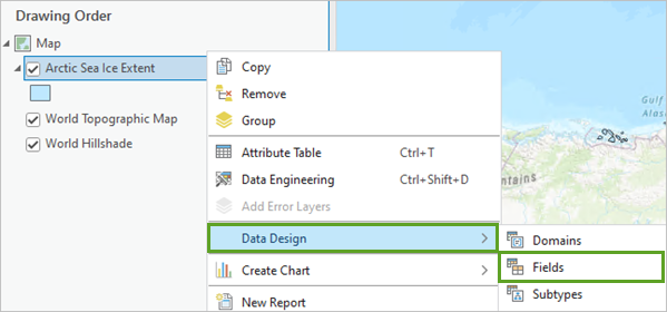 Die Option "Felder" im Menü "Datendesign"