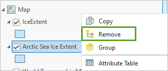 Option "Entfernen" im Kontextmenü des Layers