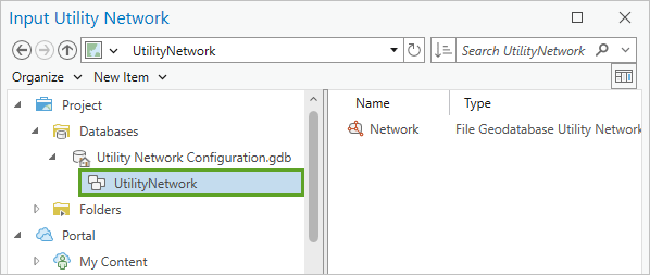 "UtilityNetwork" im Fenster "Eingabe-Versorgungsnetz"