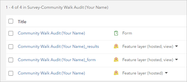 Inhalt des Ordners "Survey-Community Walk Audit"