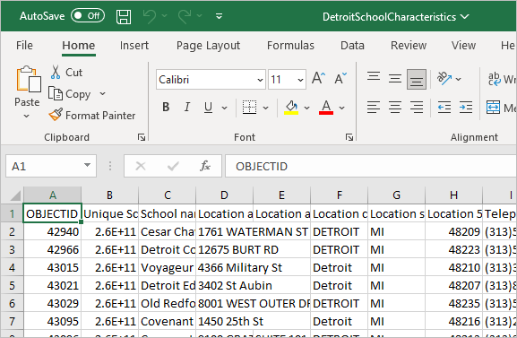 Die in Excel geöffnete Datei "DetroitSchoolCharacteristics.csv"