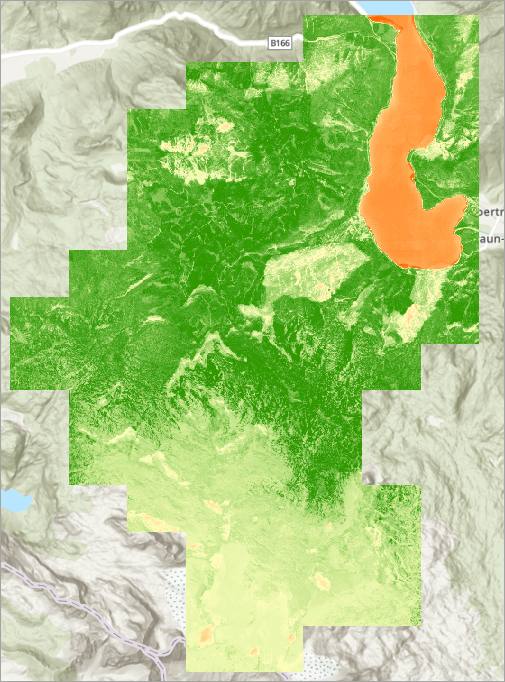 Raster-Layer "Farbgebung durch NDVI" auf Karte