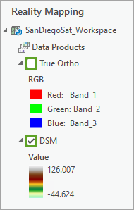 Aktivierter Layer "DSM"