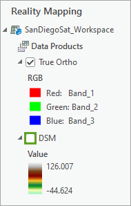 Deaktivierter Layer "DSM"