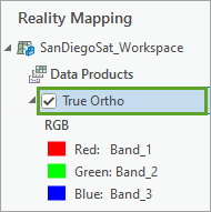 Ausgewählter Layer "True Ortho"