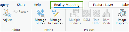 Registerkarte "Reality-Mapping"