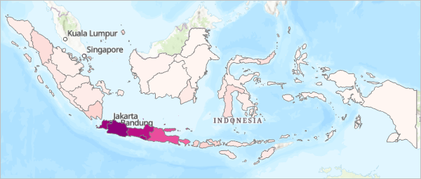 Choropleth-Karte der Provinzen von Indonesien in Rosa