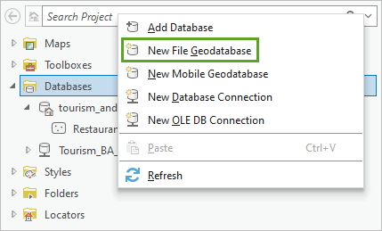 Option "Neue File-Geodatabase"