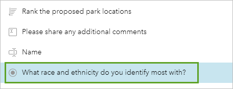 Frage "Which race and ethnicity do you identify most with?" ausgewählt