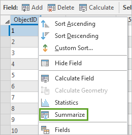 Option "Feldstatistik"