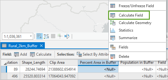 Option "Feld berechnen"