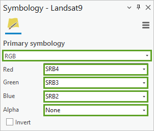 Parameter für "Primäre Symbolisierung"