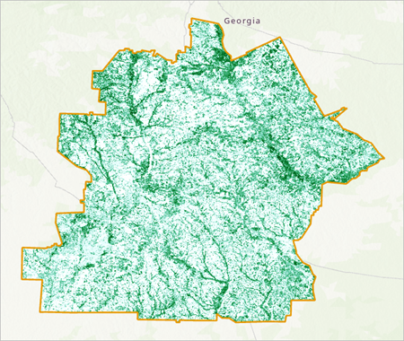 Layer "Biomass_prediction.crf" auf der Karte