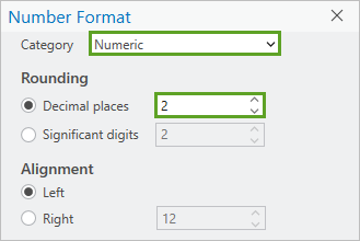 Parameter für das Fenster "Zahlenformat"