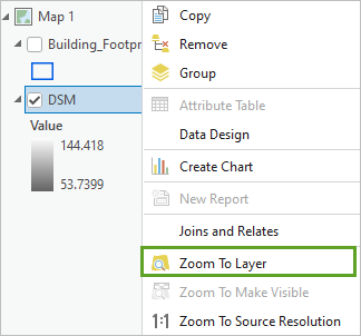 Option "Auf Layer zoomen" für den Layer "DSM"