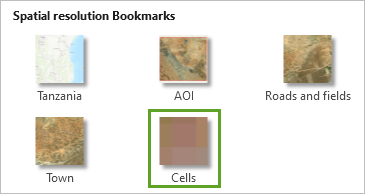 Lesezeichen "Cells"