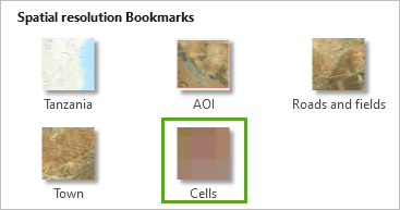 Lesezeichen "Cells"