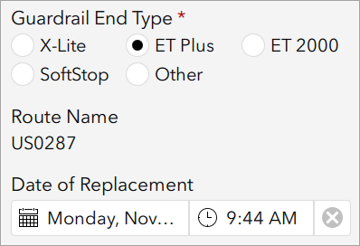 Geänderte Parameter "Guardrail End Type" und "Date of Replacement"