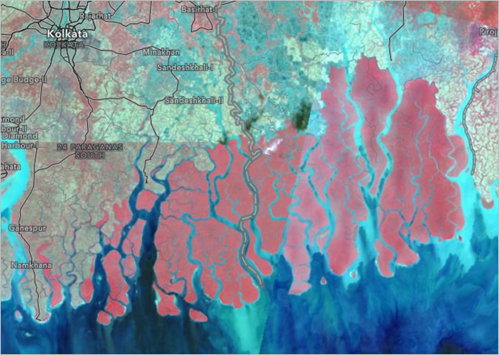 Ansicht der Sundarbans-Region mit der Bandkombination "Color Infrared"