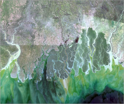 Bilddaten für die Anzeige der Region Sundarbans