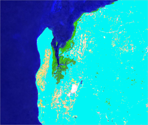 Die Pixel der Vegetation, die keine Mangroven aufweist, sind in Cyan hervorgehoben.