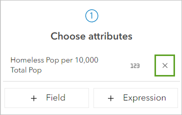 Entfernen des Attributs "Homeless Pop per 10,000 Total Pop" im Bereich "Styles"