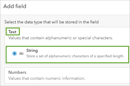 Option "Zeichenfolge" ausgewählt