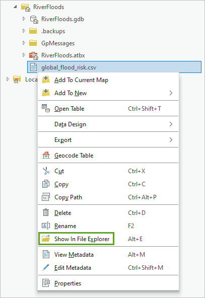 "Im Datei-Explorer anzeigen" im Kontextmenü der Daten in "global_flood_risk.csv"