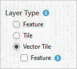 Optionen für den Layer-Typ