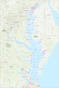 Messungen von gelöstem Sauerstoff in der Chesapeake Bay