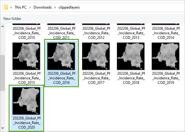 Zugeschnittene Bilddaten-Layer für die Jahre 2016 und 2020 im extrahierten Ordner