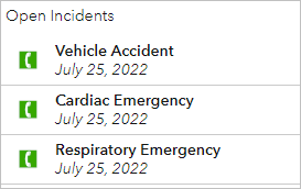Liste "Open Incidents", die nach "Vehicle Accidents" gefiltert wurde
