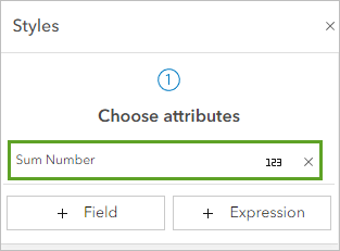 Bereich "Styles" mit der Einstellung "Sum Number" für "Attribute auswählen"