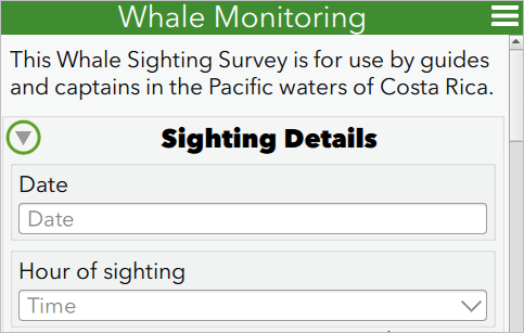 Formularvorschau der Gruppe "Sighting Details"